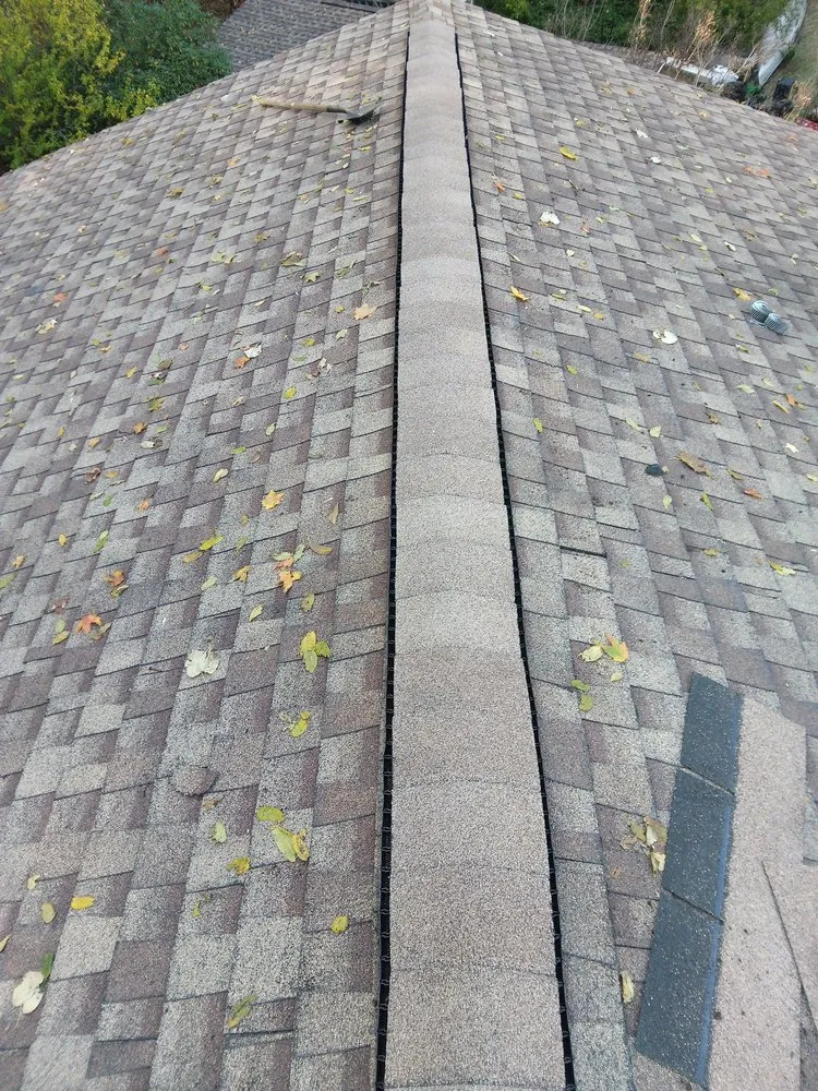 Slide of The Trusted Professional