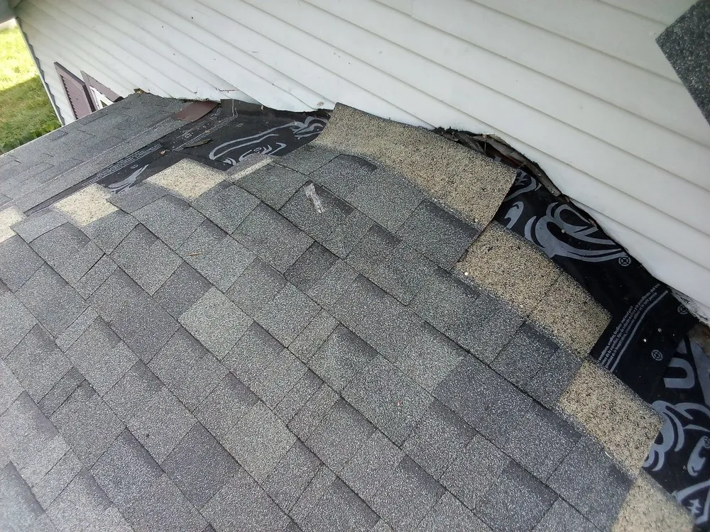 Slide of The Trusted Professional