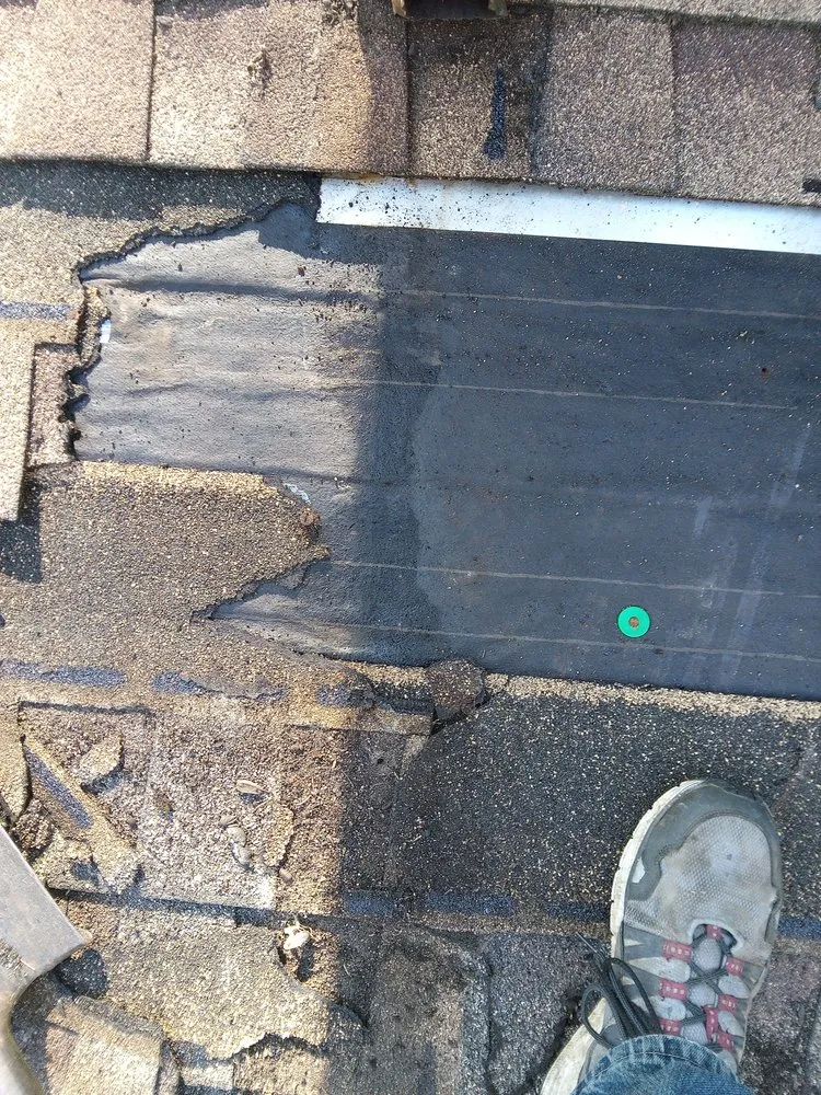 Slide of The Trusted Professional