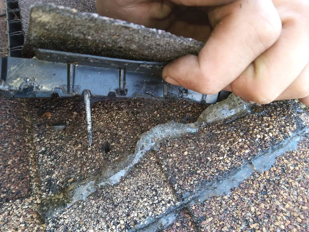 Slide of The Trusted Professional