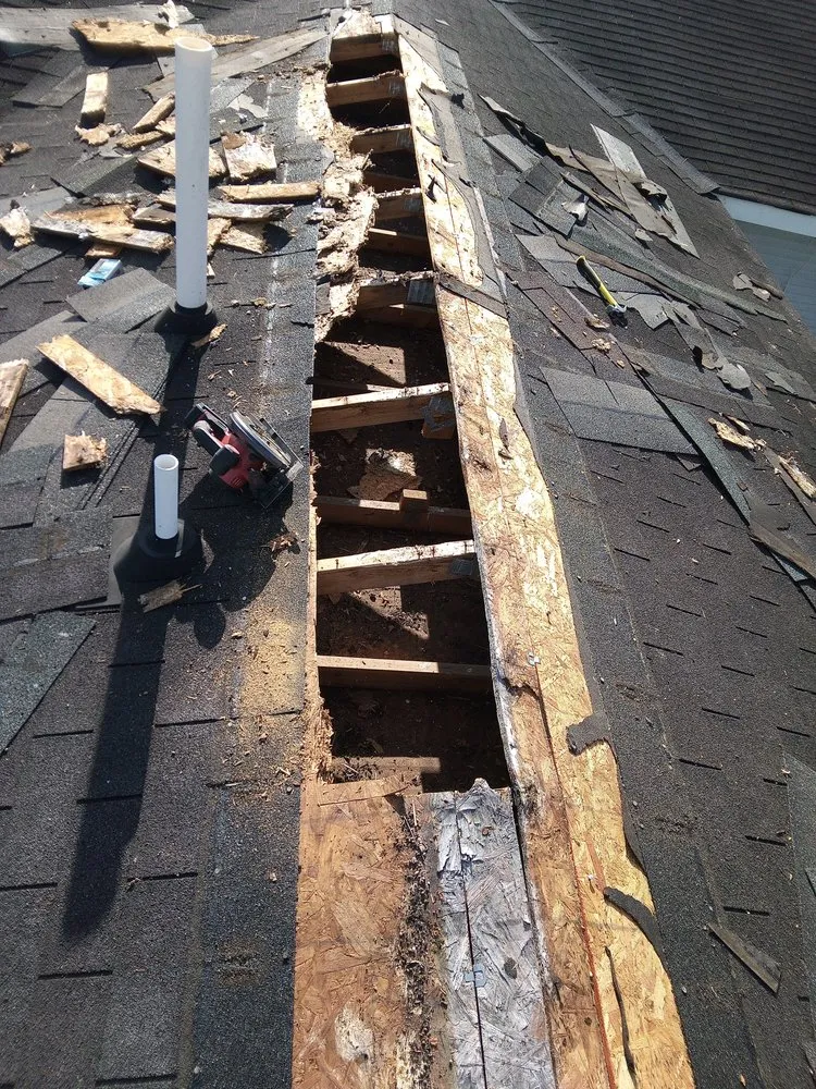 Slide of The Trusted Professional