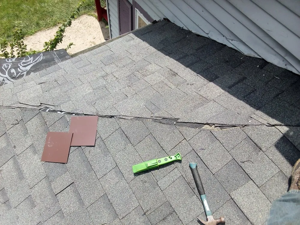 Slide of The Trusted Professional