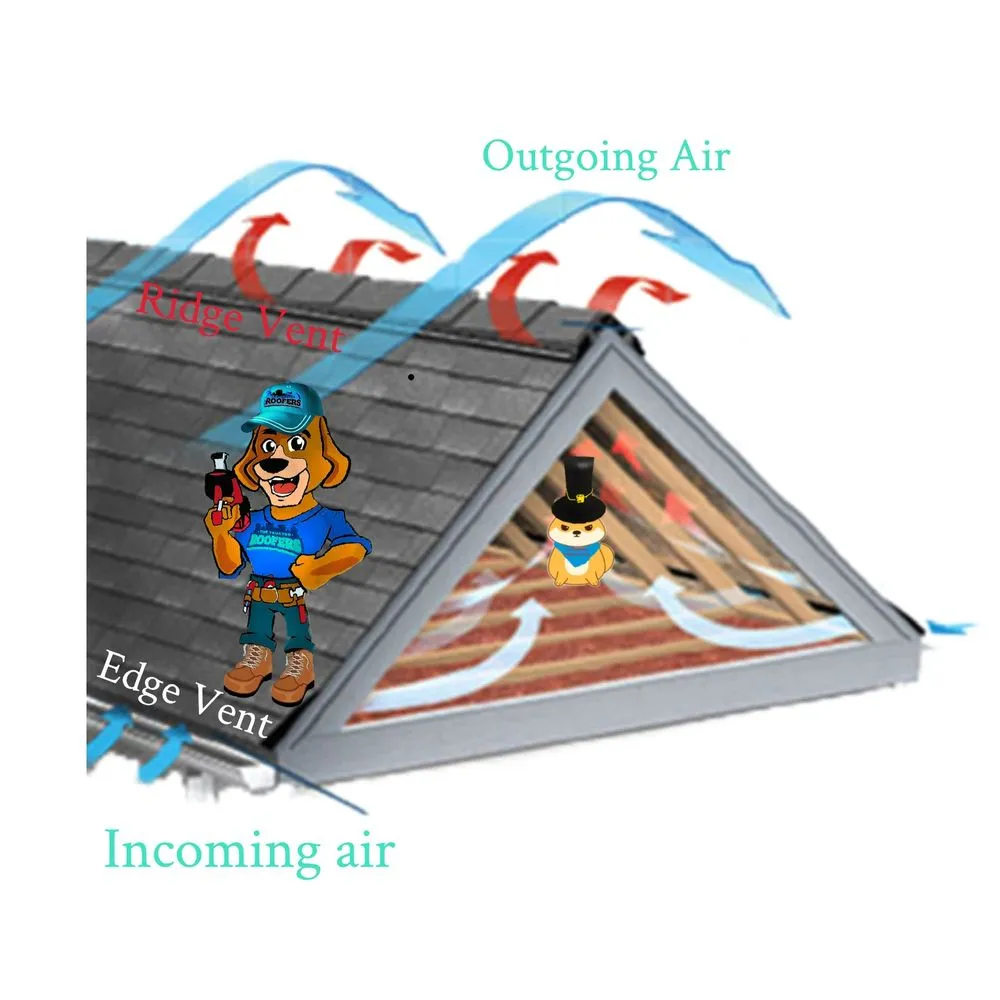 Slide of The Trusted Roofers