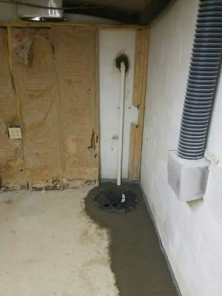 Slide of The Waterproofing Specialists