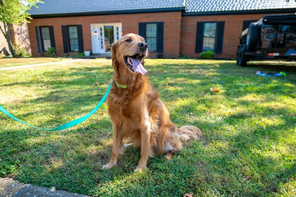 Slide of The Way Construction
