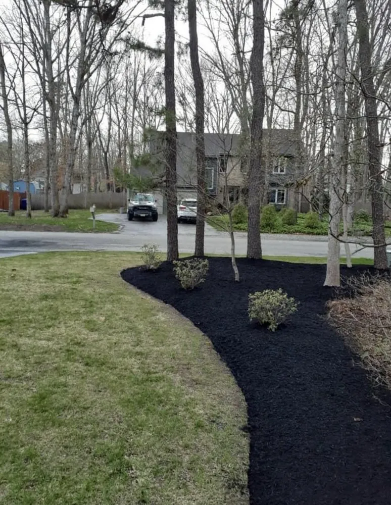 Slide of The willis Group