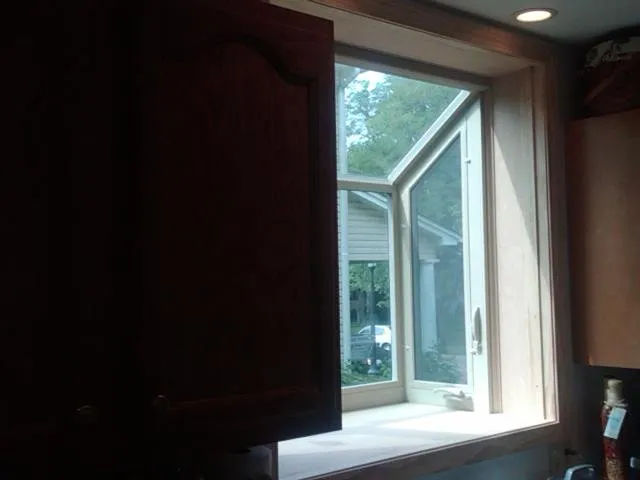 Slide of The Window Man of Ohio