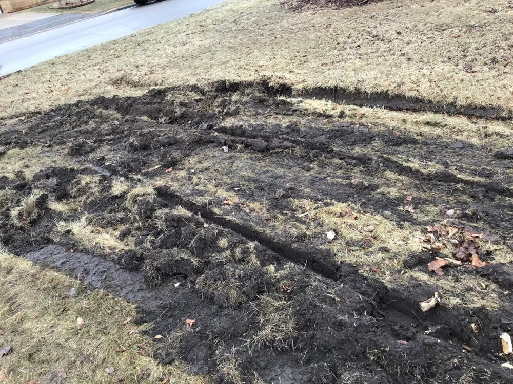 Slide of The Window Store