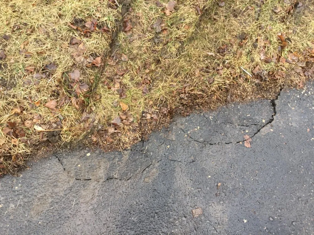 Slide of The Window Store