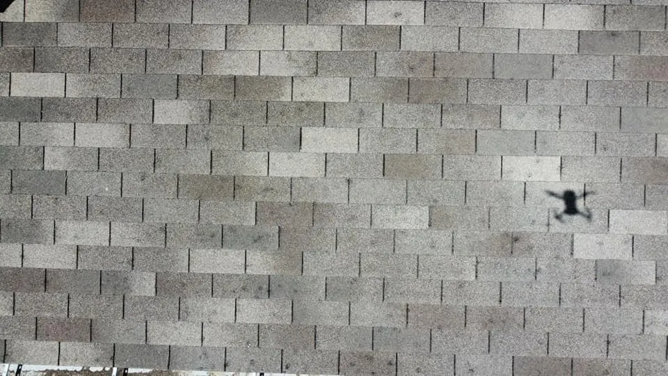 Slide of The Wolf of Roofing