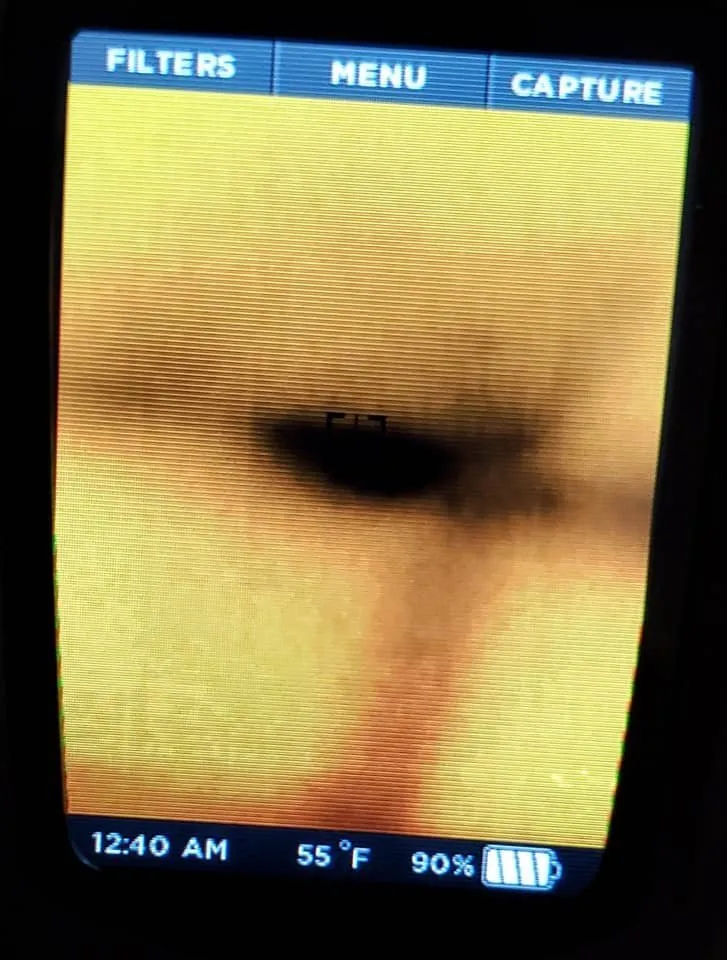 Slide of The Wolf of Roofing