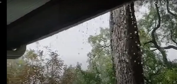 The Wolf of Roofing Logo