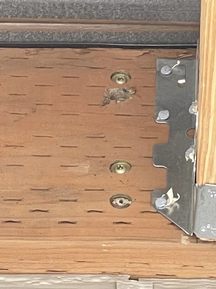 Slide of Theory 7 Construction