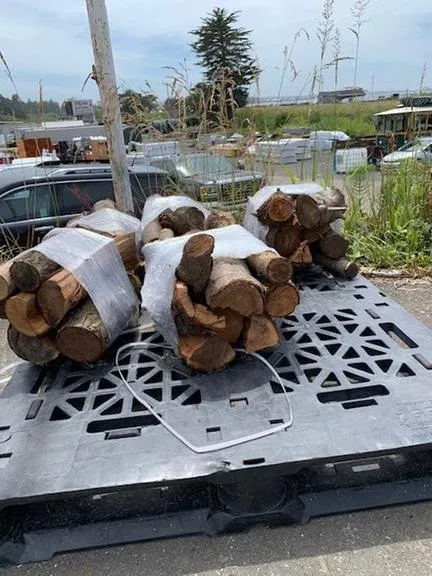 Slide of Think Alves