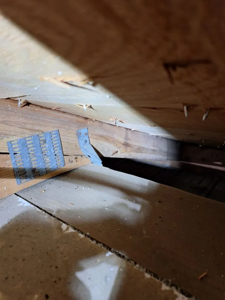 Slide of Third Nail King