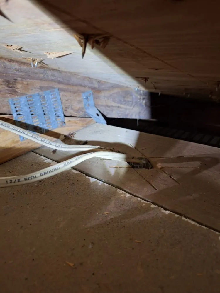 Slide of Third Nail King