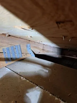 Third Nail King Logo