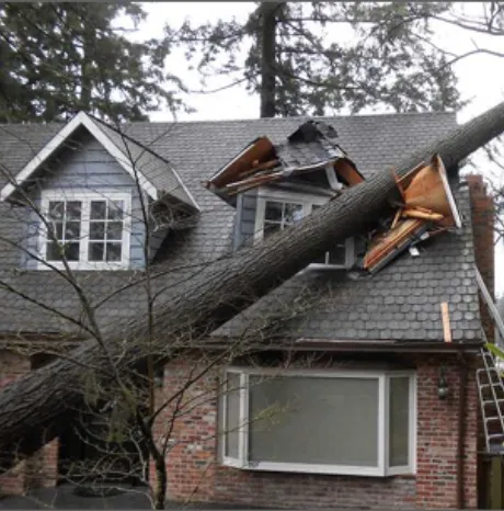 Slide of Thomas Exteriors