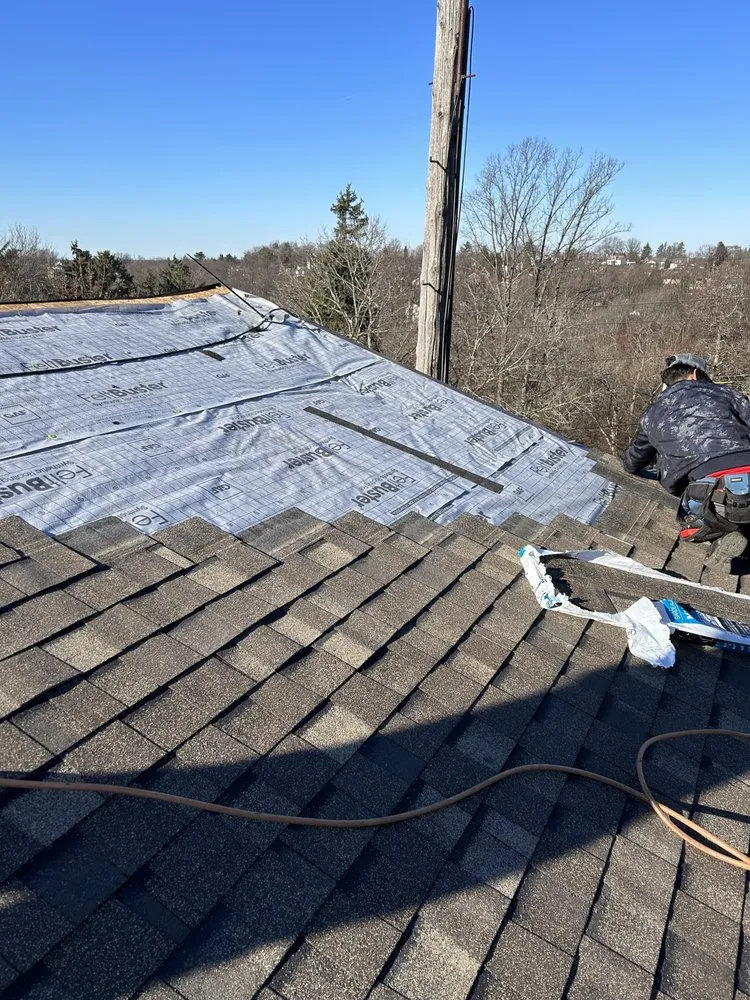 Top-rated roof inspection for residential properties in South Heights, PA by Thomas Painting & Remodeling