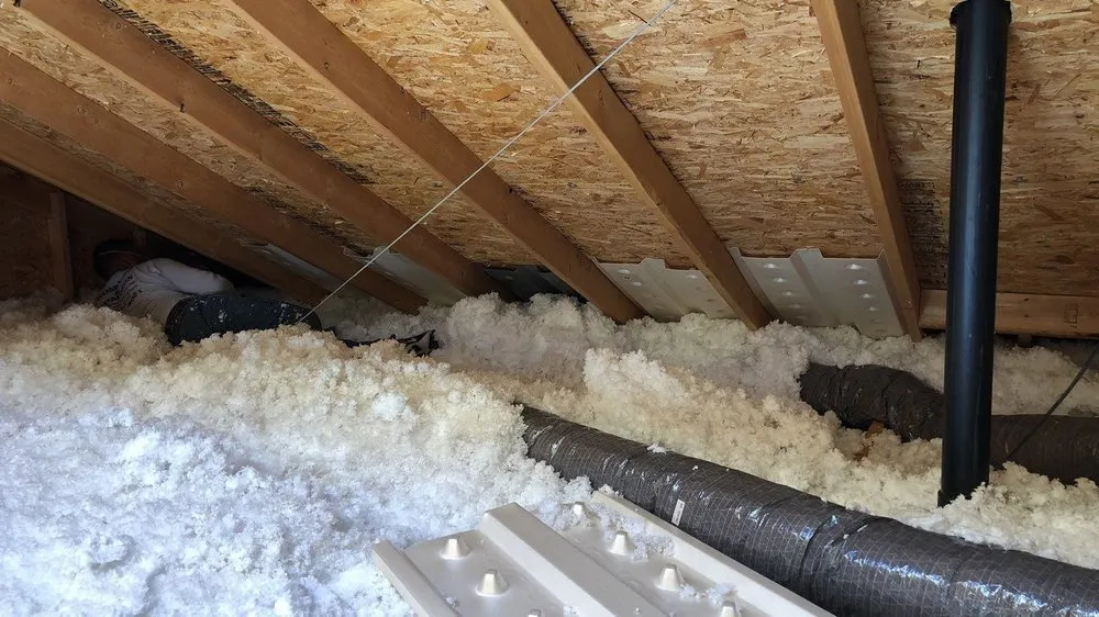 Slide of Thompson & Thompson 3rd Generation