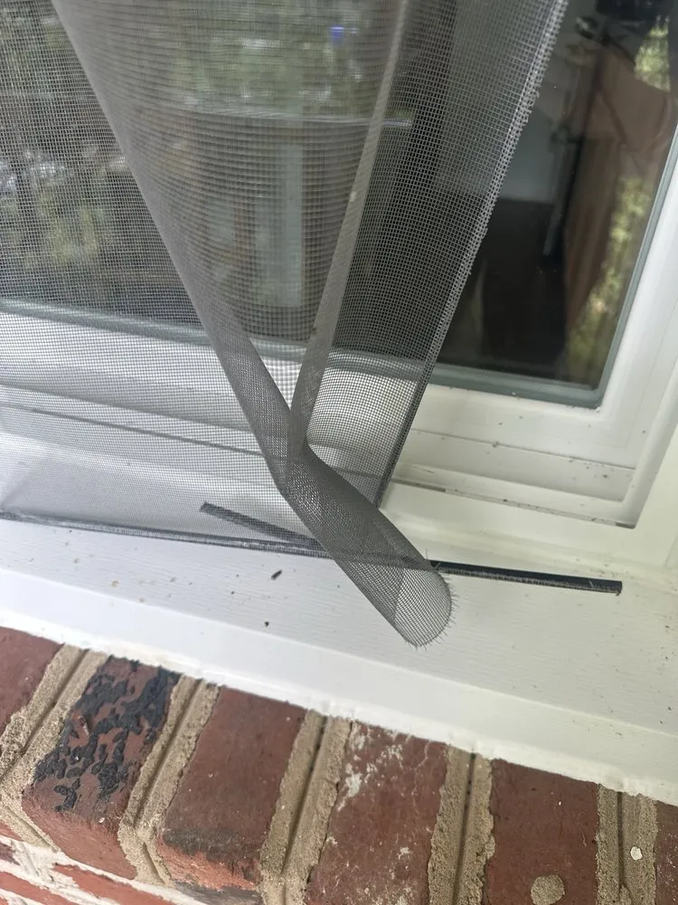 Slide of Thompson Creek Window