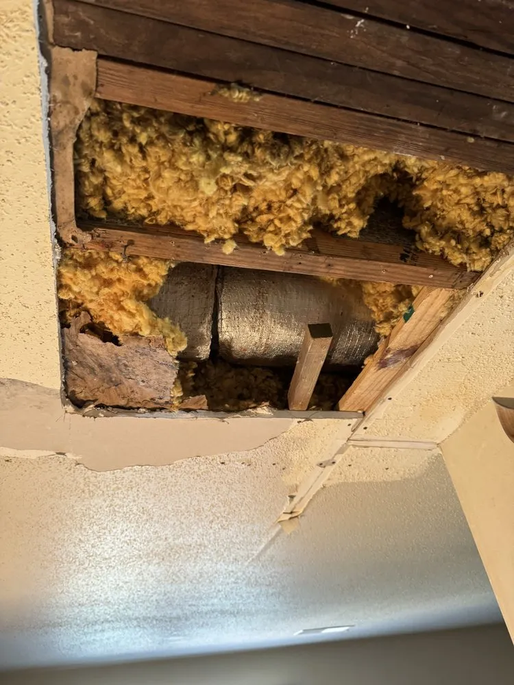 Local storm damage roof repair in Winston-Salem, NC by Thompson Innovated Construction