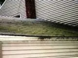 Slide of Thompson Roof Cleaning & Power Washing