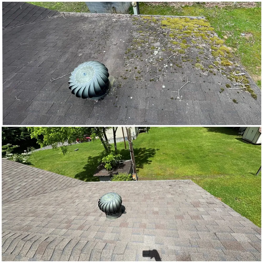 Slide of Thoroughbred Pressure Washing