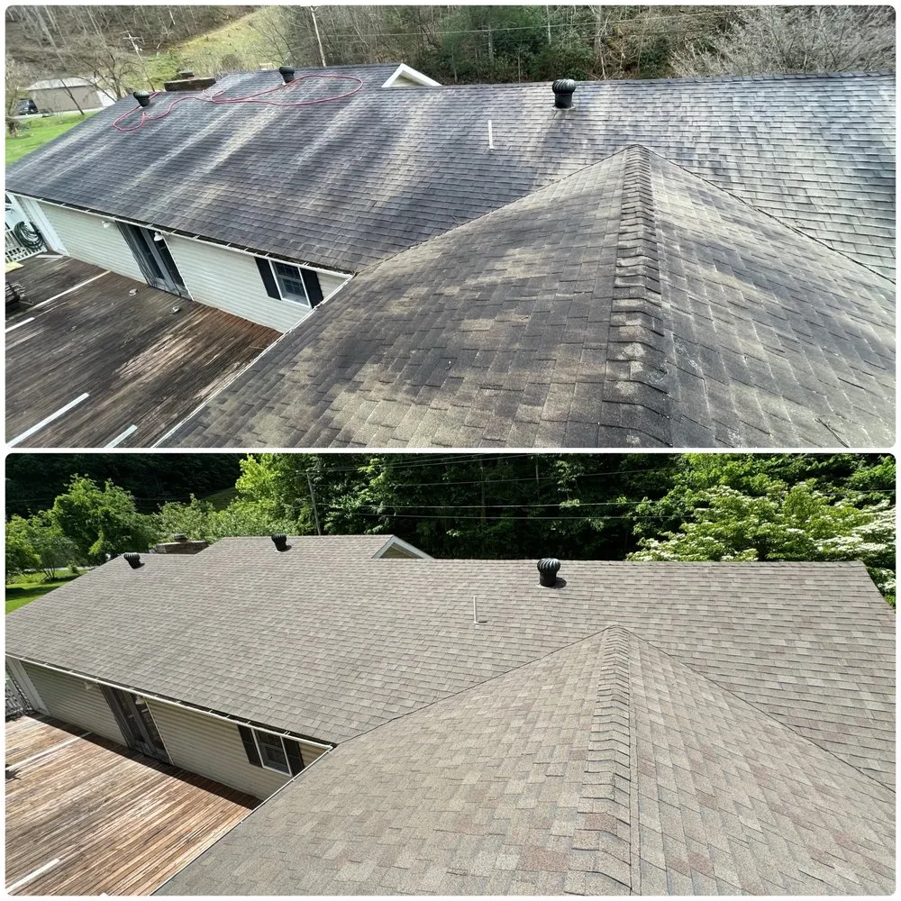 Slide of Thoroughbred Pressure Washing