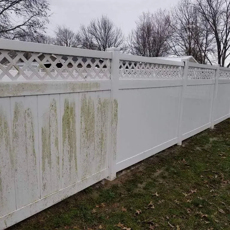 Slide of Thoroughbred Pressure Washing