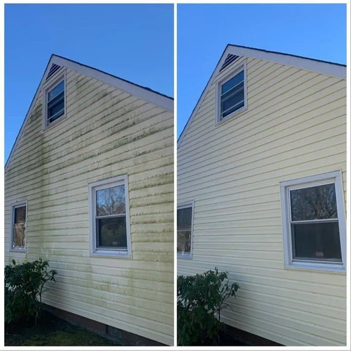 Slide of Thoroughbred Pressure Washing