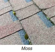 Slide of Three Amigos Roofing