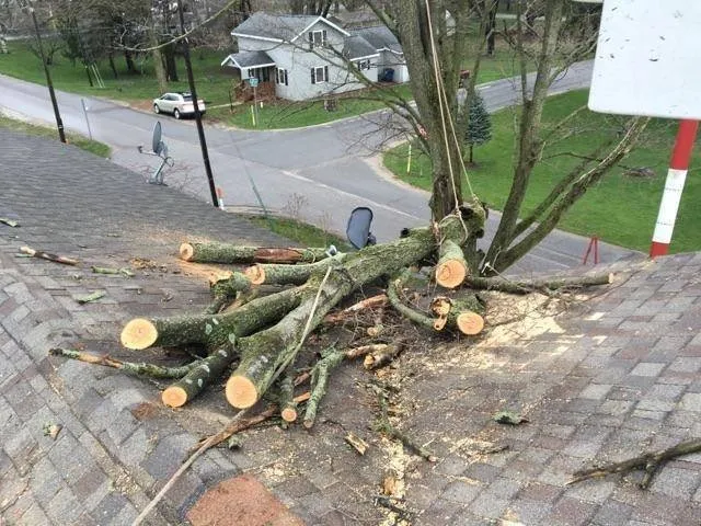 Slide of Three Amigos Roofing
