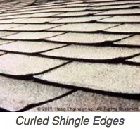 Slide of Three Amigos Roofing