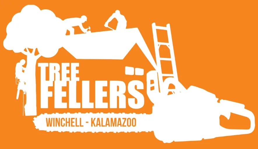 Slide of Three Brothers Construction