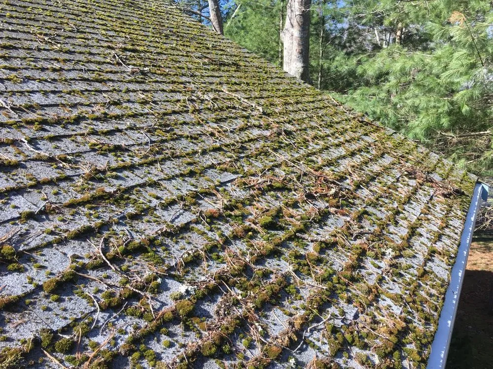 Slide of Three Seasons Exterior Cleaning