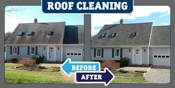 Three Seasons Exterior Cleaning