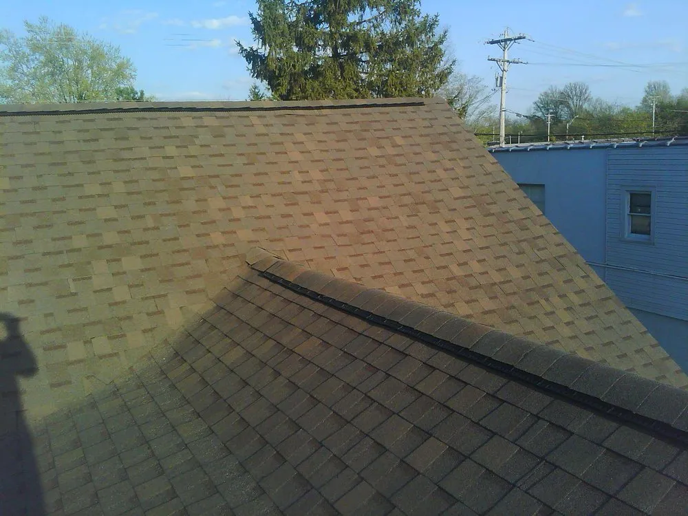 Slide of Thrush & Son