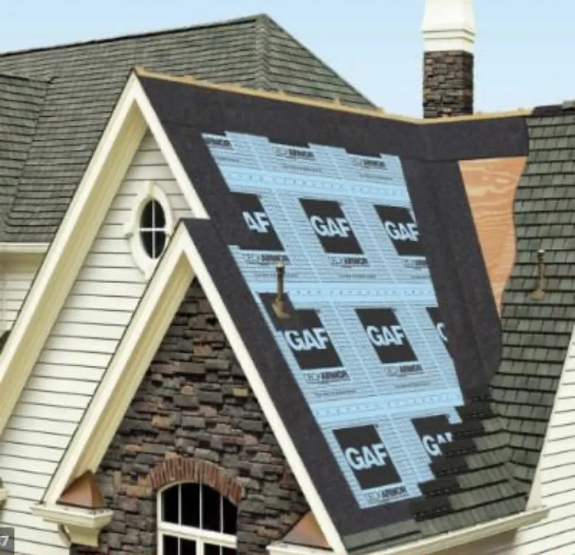 Slide of Thrush & Son of Lebanon