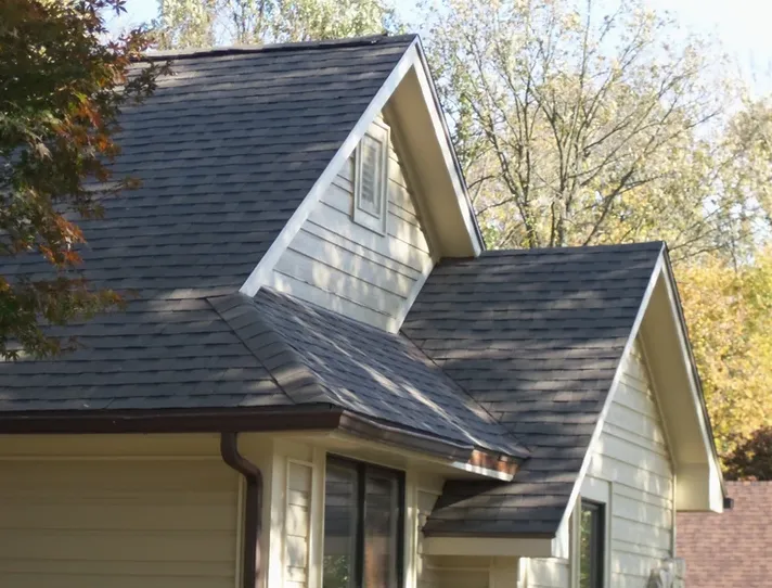 Slide of Thrush & Son of Lebanon