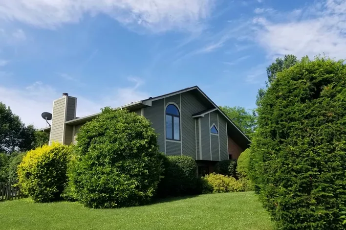 Slide of Thrush & Son of Lebanon