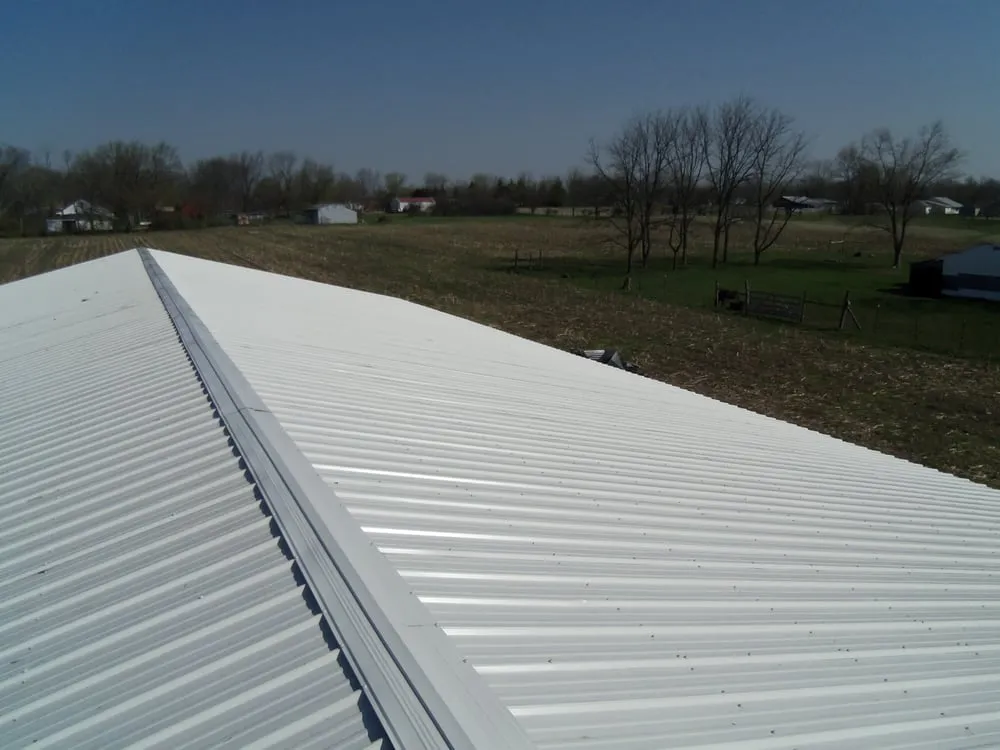 Slide of Thrush & Son