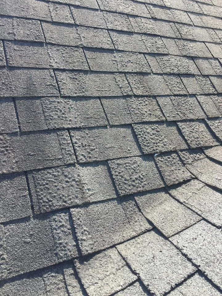 Slide of Thurston Roof