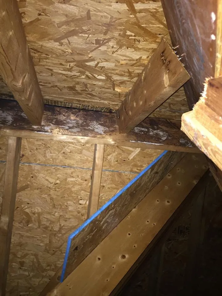 Slide of Thurston Roof