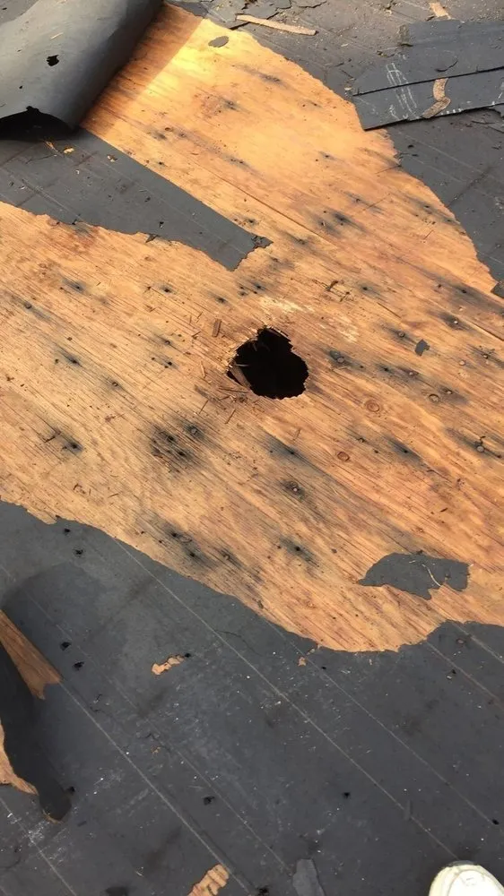 Slide of Thurston Roof