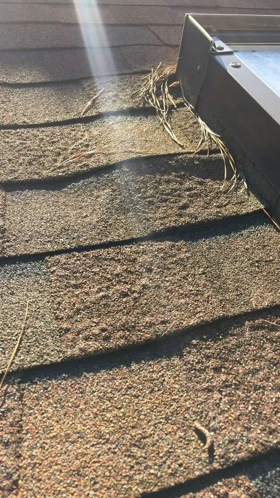 Slide of Thurston Roof