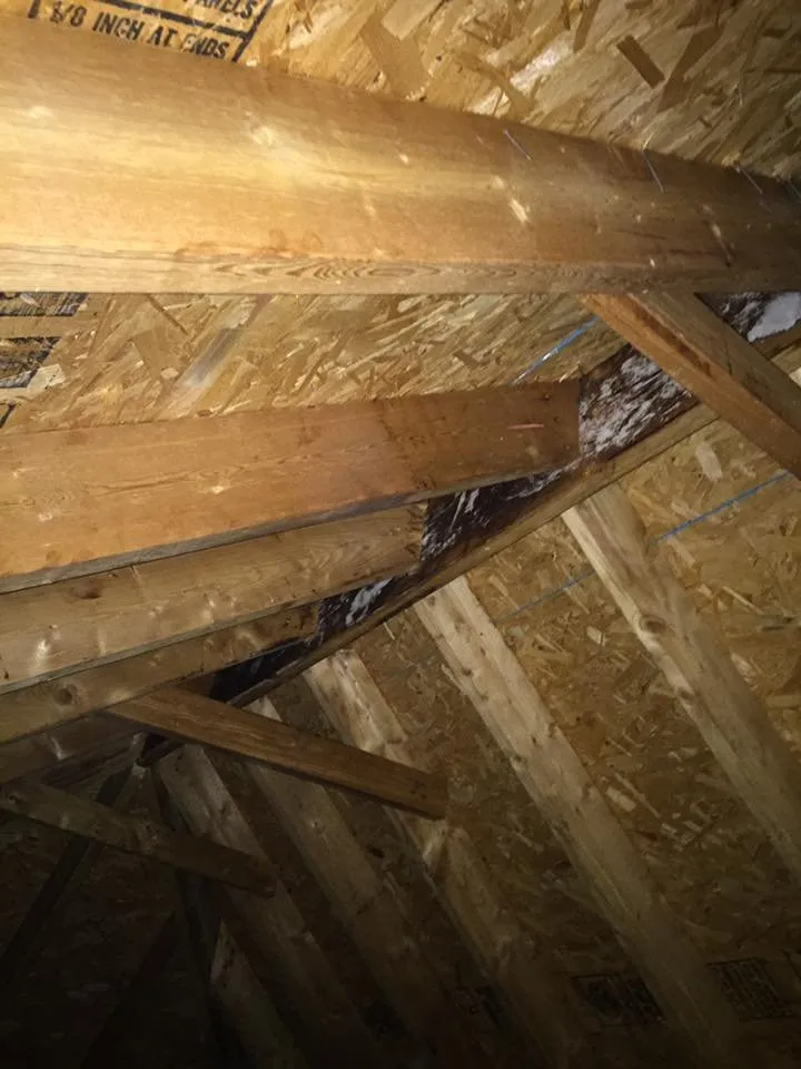 Slide of Thurston Roof