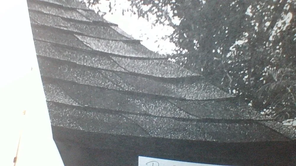 Slide of Tidewater Construction