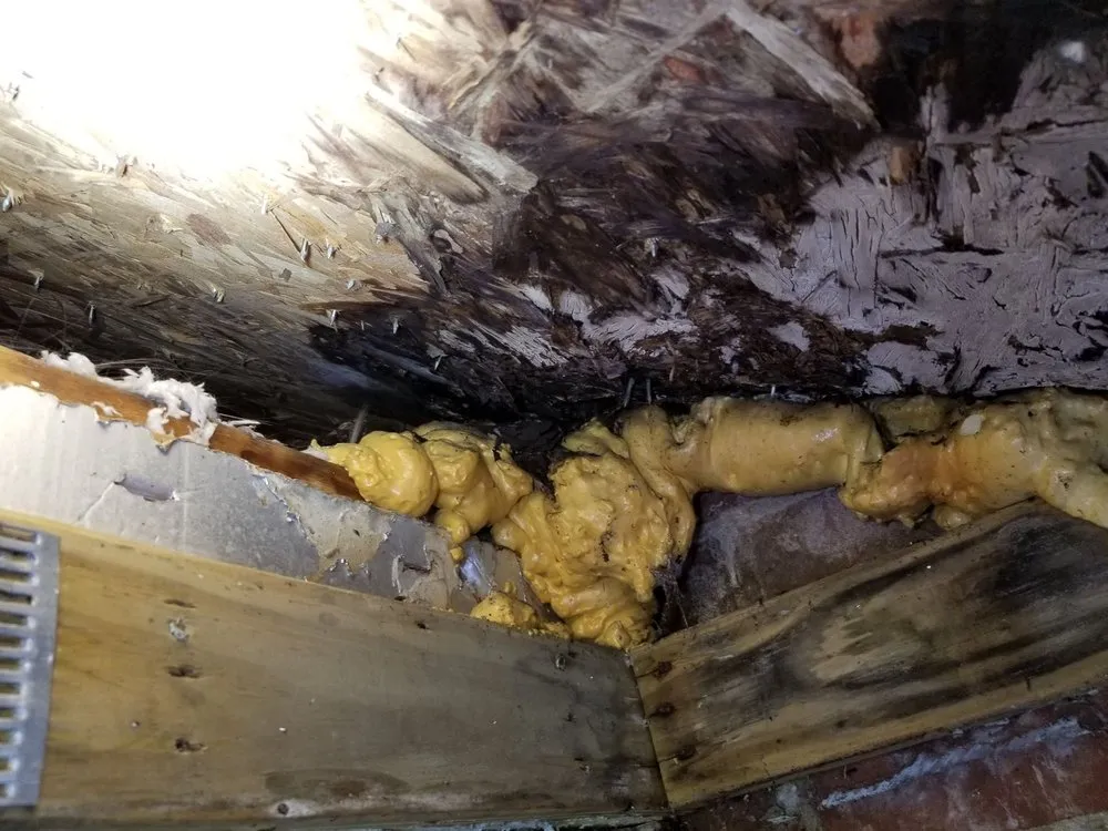 Slide of Tidewater In the Valley