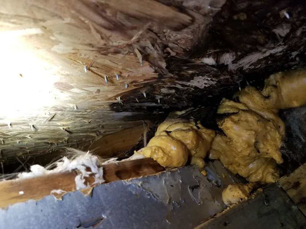 Slide of Tidewater In the Valley